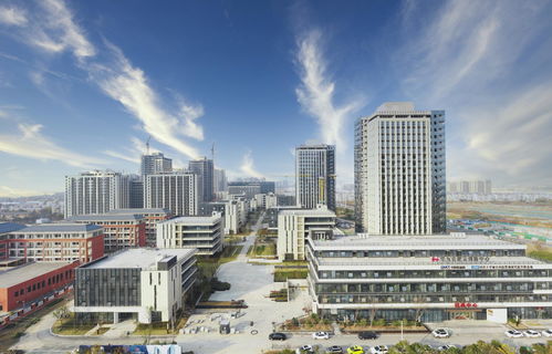 合肥廬陽(yáng)區(qū) 全力以赴抓項(xiàng)目謀新篇，力促園區(qū)資產(chǎn)投資與管理穩(wěn)中求進(jìn)