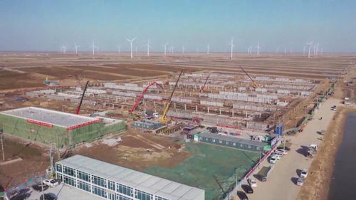 東營(yíng)通威1萬(wàn)噸/年南美白對(duì)蝦智慧化養(yǎng)殖項(xiàng)目加快推進(jìn)，助力利津縣園區(qū)資產(chǎn)投資與管理